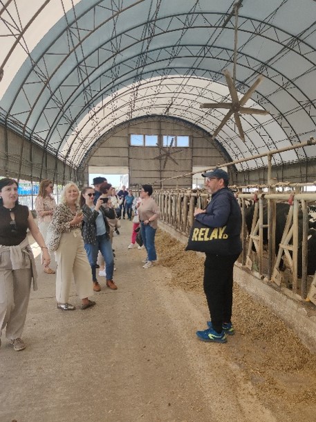 8-10 of April 2024 Training in Comrat State University (Moldova)
8-10 of April 2024 Training in Comrat State University (Moldova)
